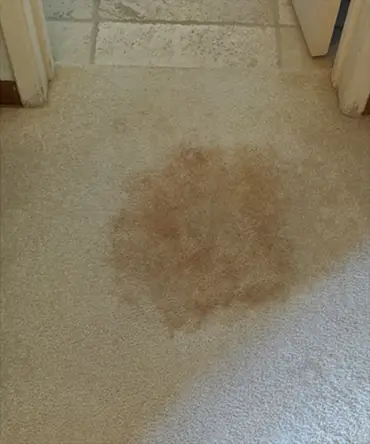 before-img1